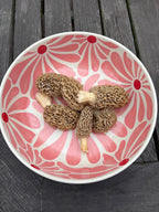 Ready to Ship! Retro Large Bowl - Che Cose Belle