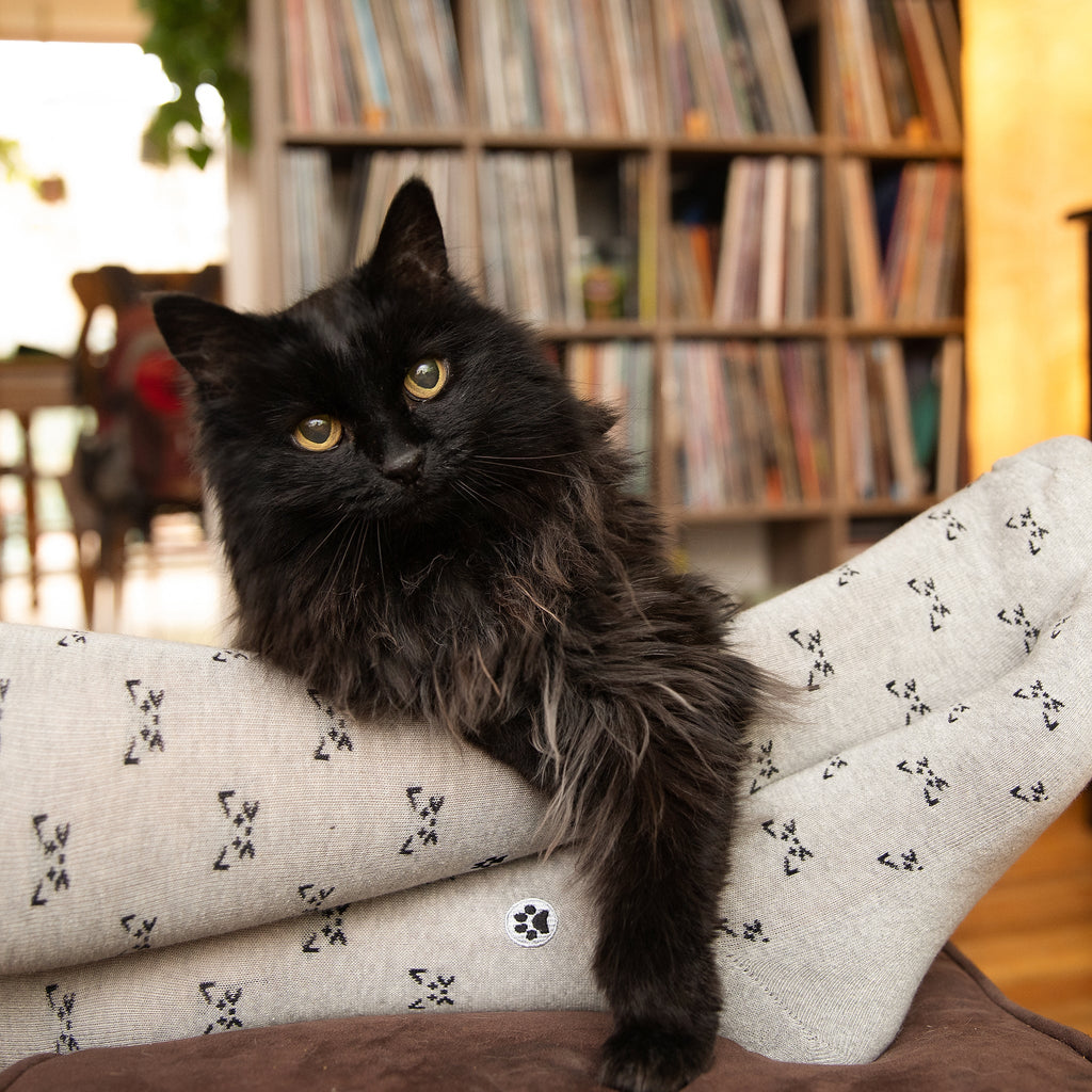 Save Cats Gift Box