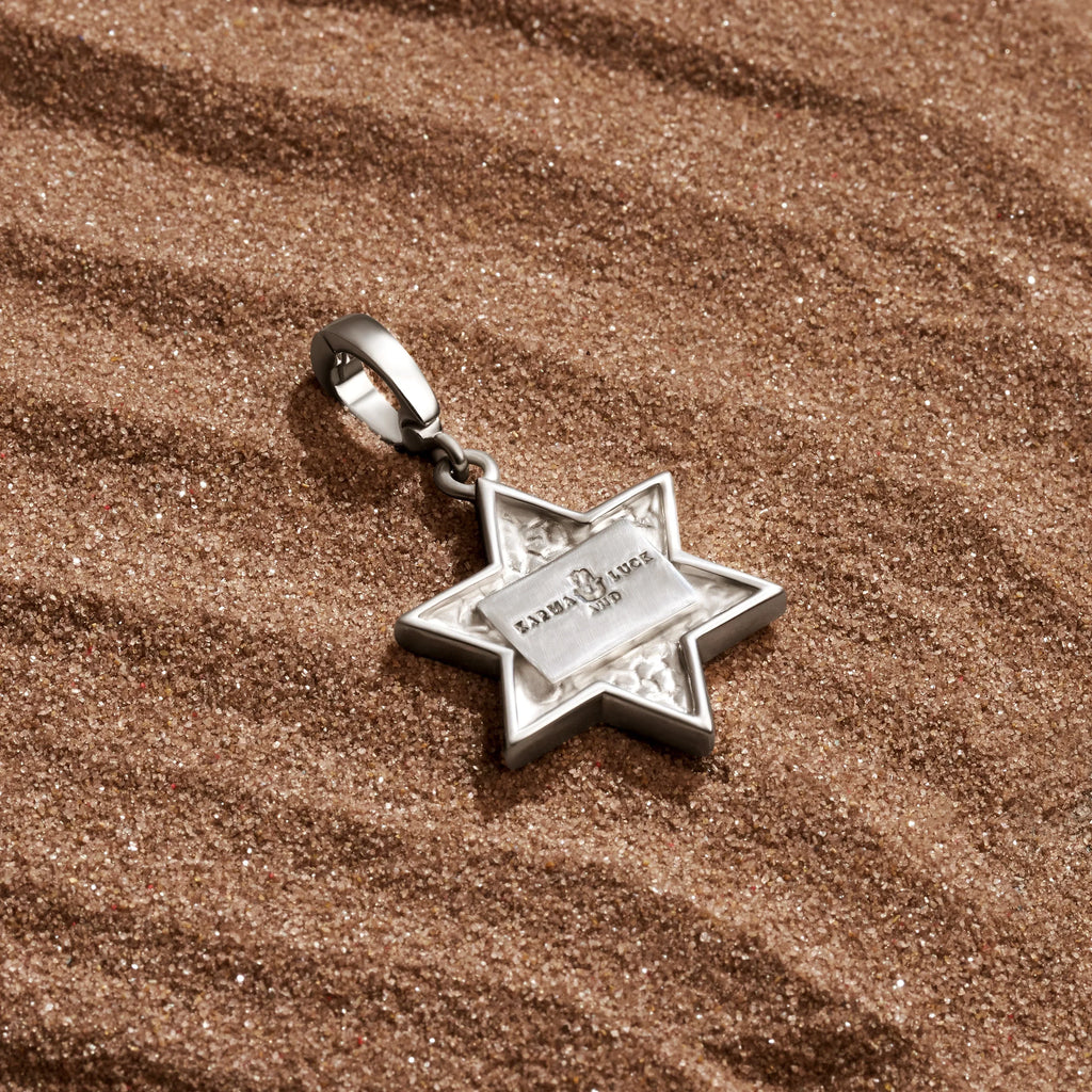Ancestral Protector - Tiger’s Eye Star of David Charm