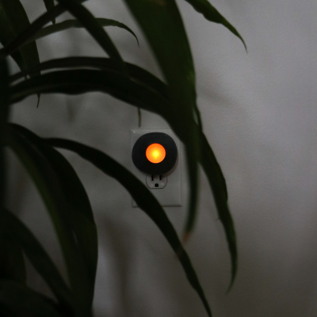 Nature's Nightlight