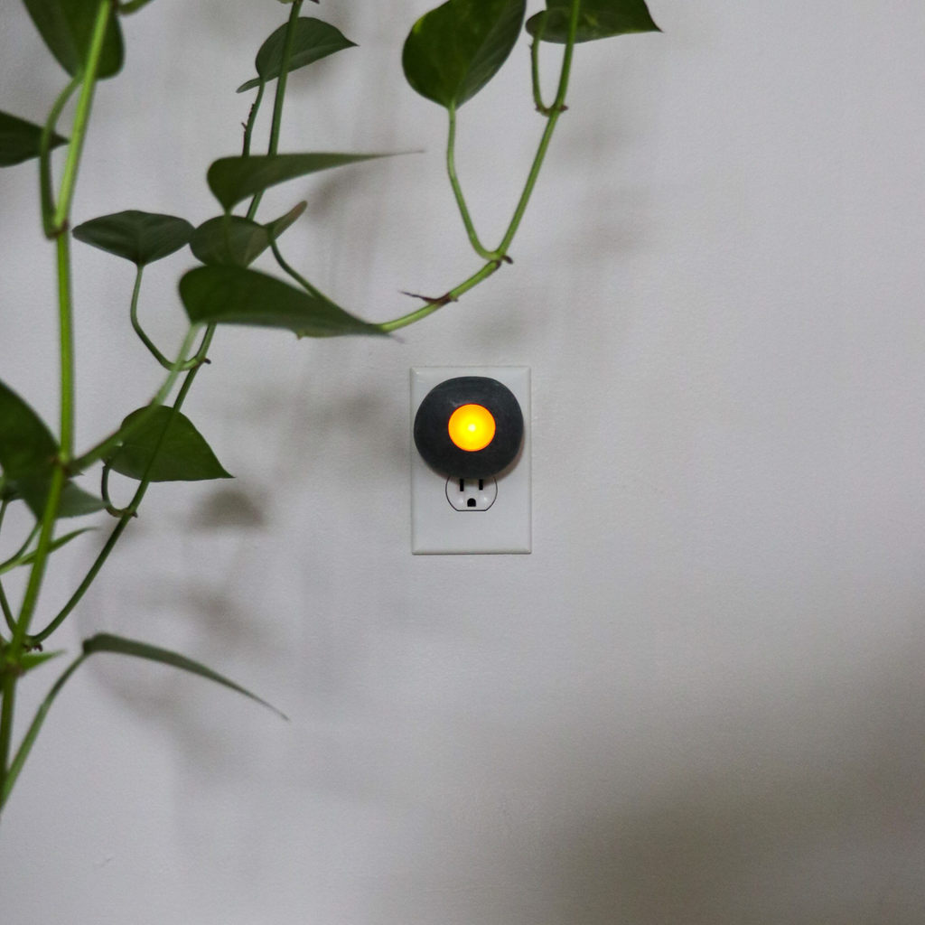 Nature's Nightlight