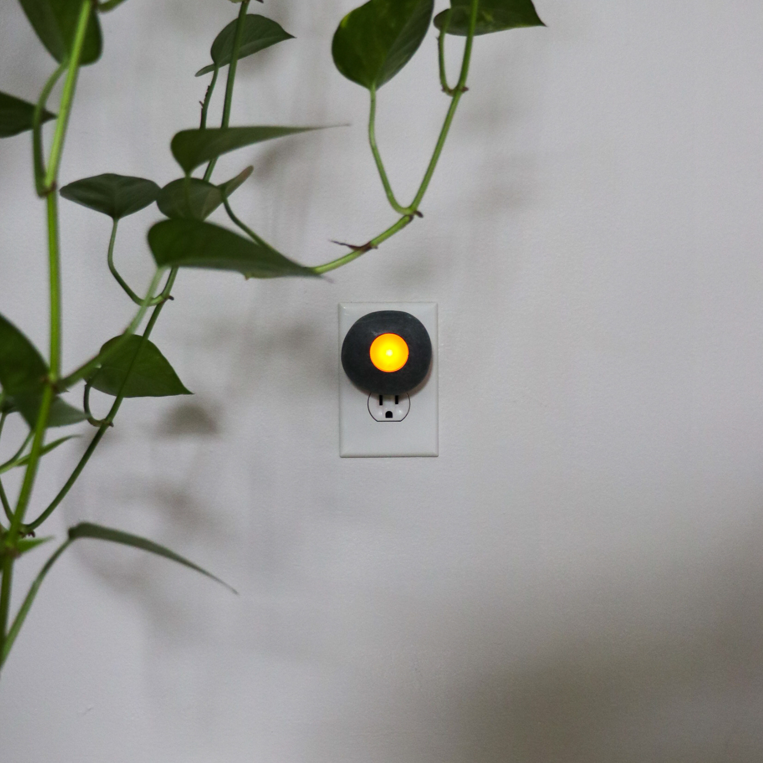 Nature's Nightlight