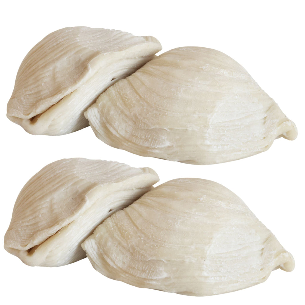 Large Italian Sfogliatelle Take and Bake Pastries - Che Cose Belle