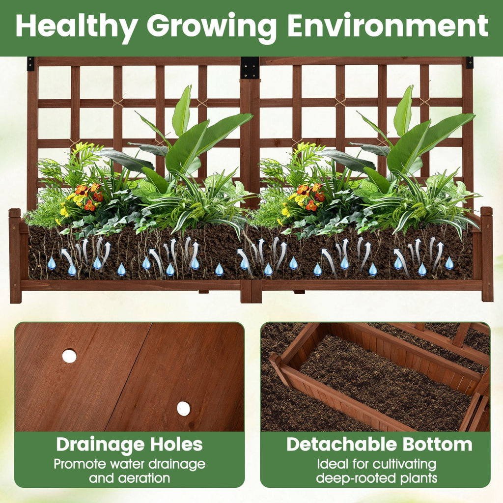 Dual Raised Garden Bed with Trellis and Drainage Holes
