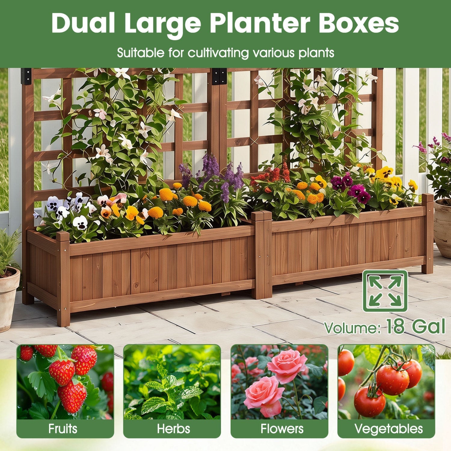 Dual Raised Garden Bed with Trellis and Drainage Holes