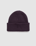 Alden Beanie