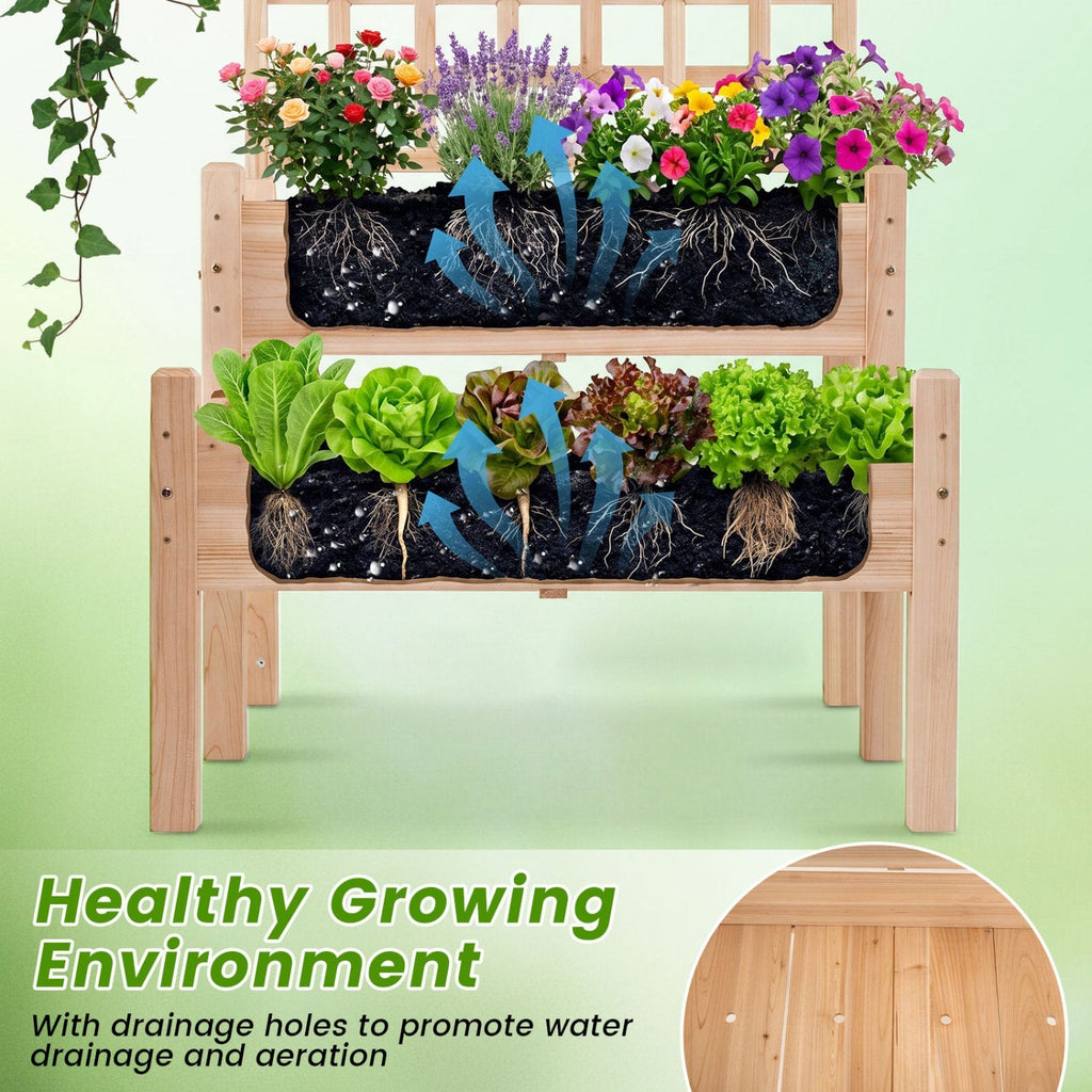2-Tier Raised Garden Bed with Trellis for Climbing Plants