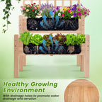 2-Tier Raised Garden Bed with Trellis for Climbing Plants