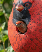 Cardinal Gord-O Wooden Birdhouse