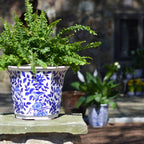 Blue and White Aviary Garden Planter - 12.75'' x 11.50'' x 10'' H - Che Cose Belle