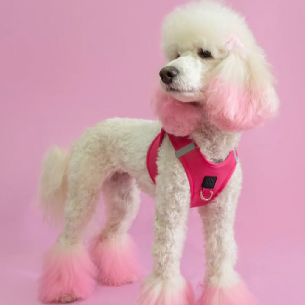 SoHo Dog Harness - Park Ave Pink