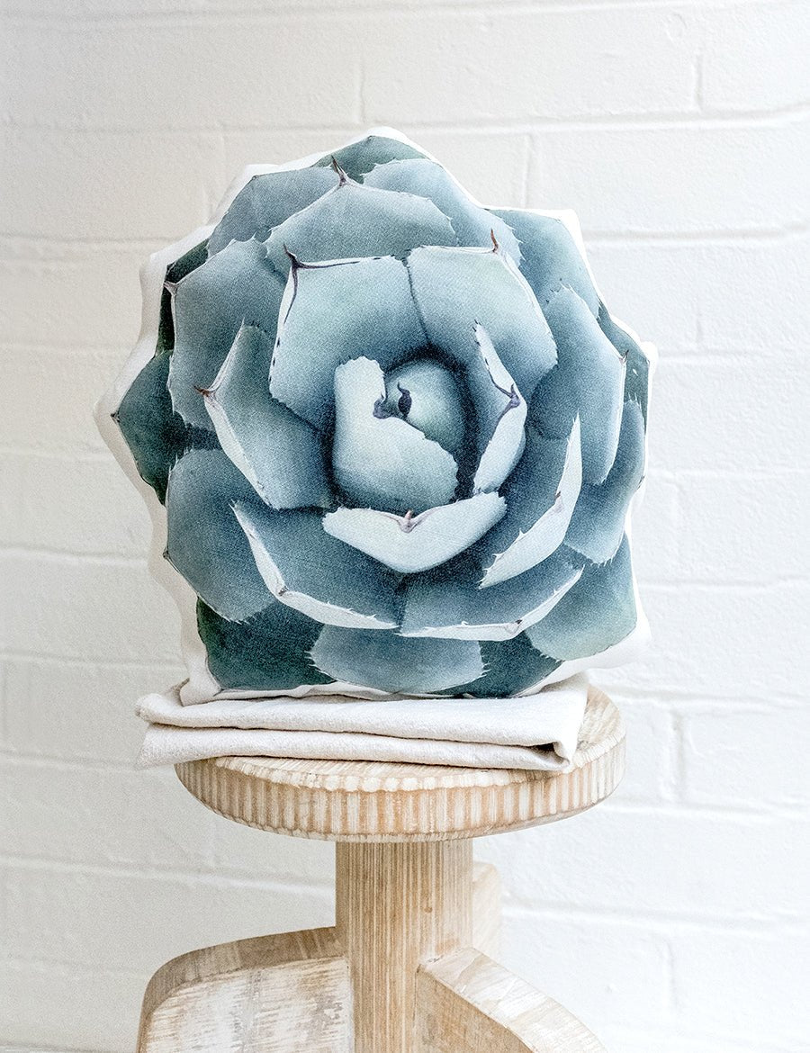 Agave Truncata Pillow, College Student Gift, Christmas Gift, Mother's Day Gift - Che Cose Belle