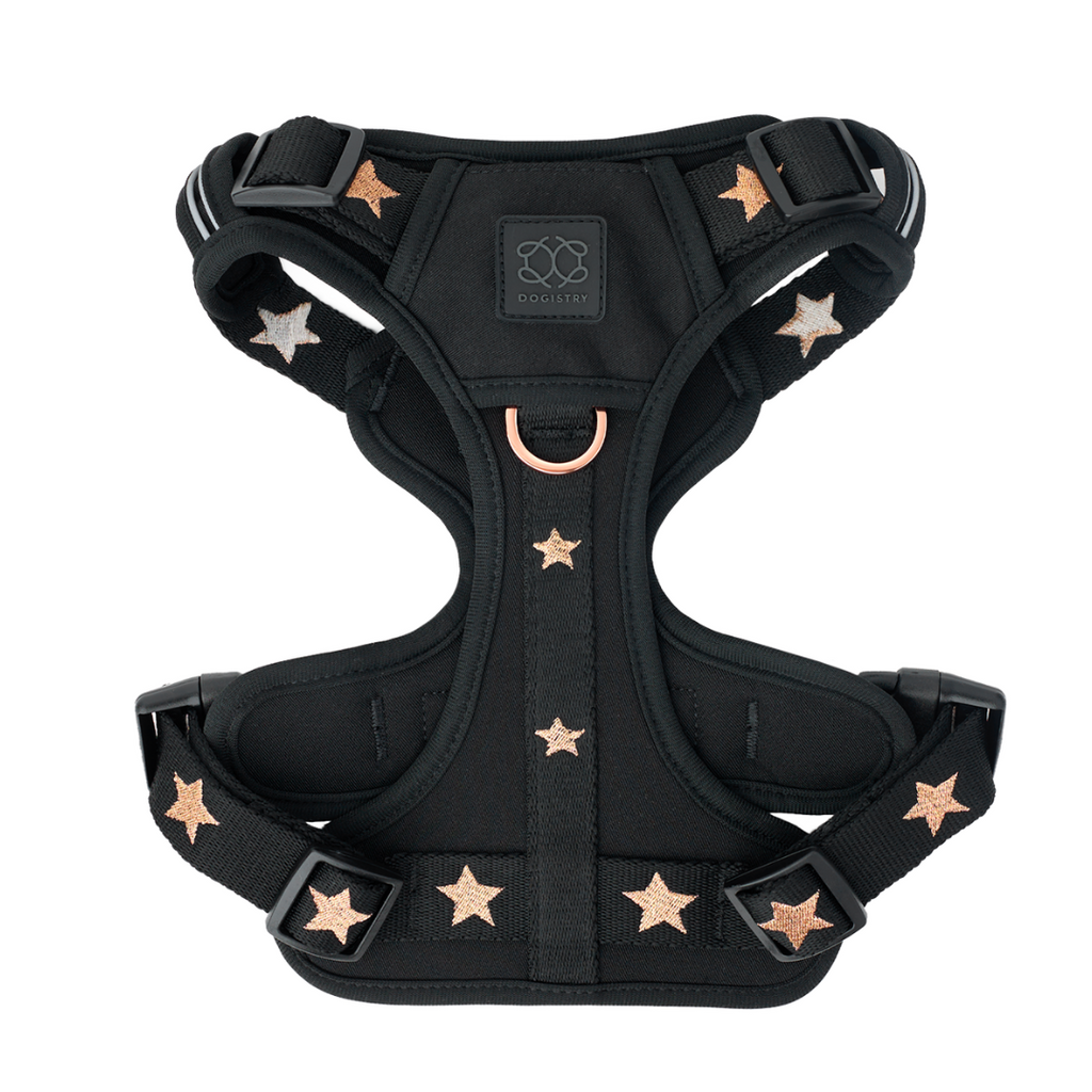 The NoMad Adjustable Luxe Harness - Rockstar