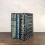 Vintage Blue Gilded Books - Classics