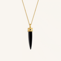 Fortune Gaze Onyx & Sapphire Necklace