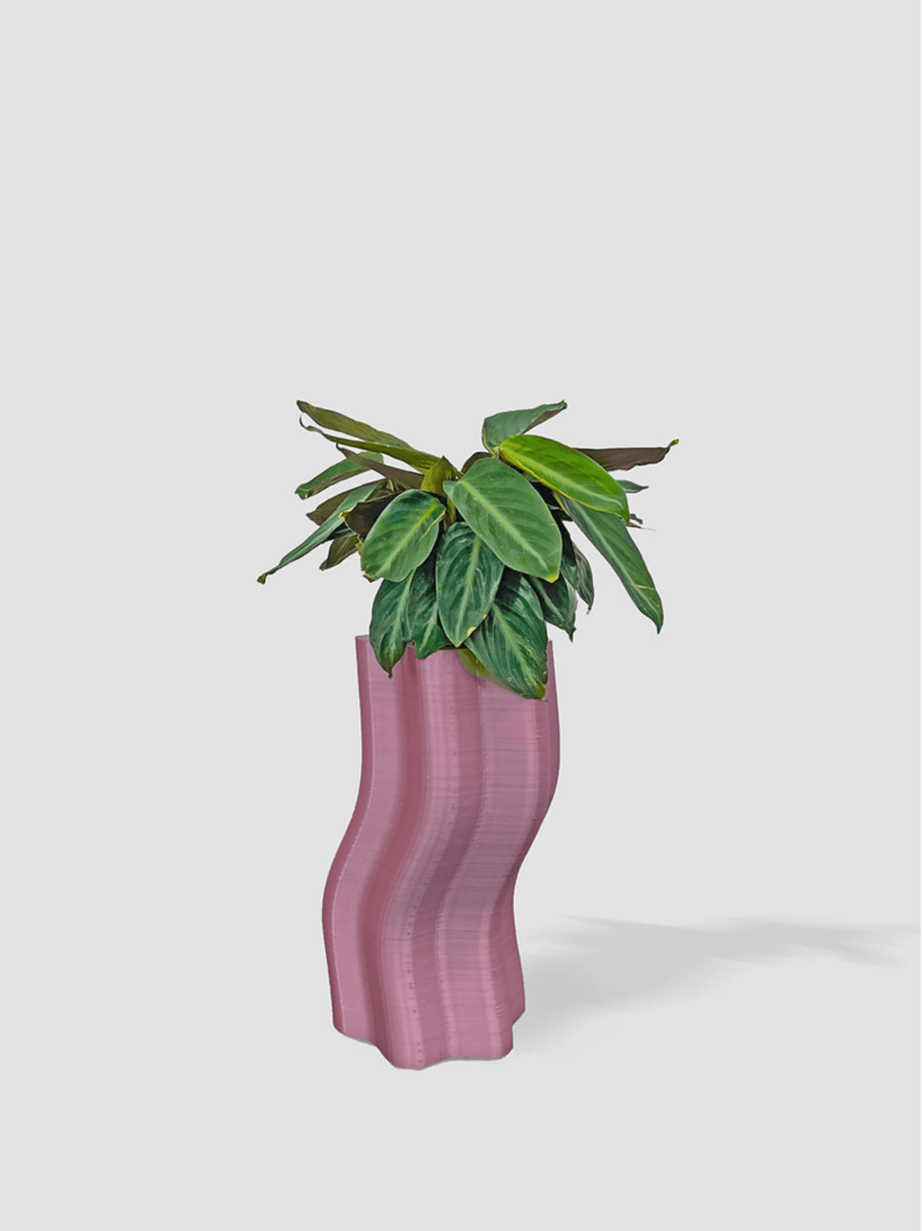 Frosting Large Planters