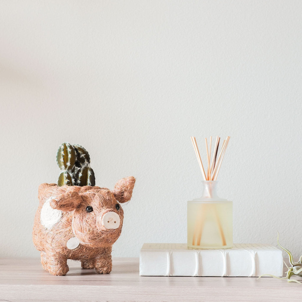 Pig Planter - Coco Coir Pots