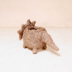 Baby Triceratops Planter