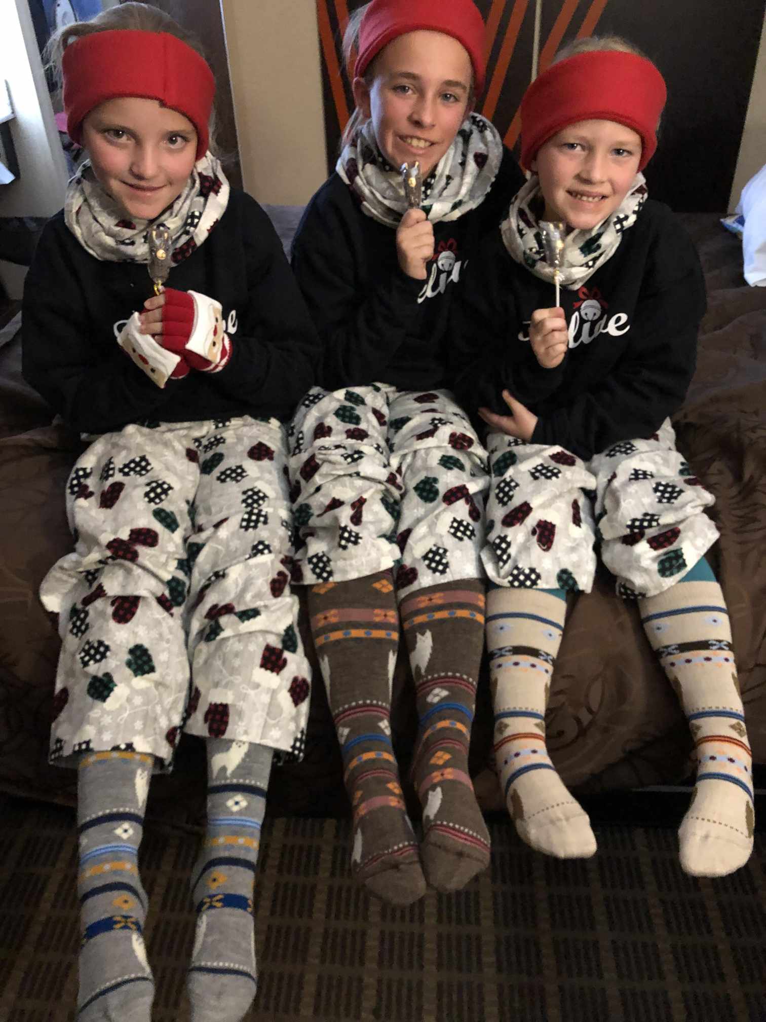 Alpaca Watching Socks - Che Cose Belle