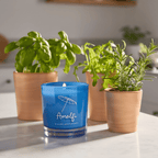 AMALFI • basil & arugula - Che Cose Belle