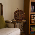 12in. Pre-Lit Autumn Rattan Fall Pumpkin with 40 Warm White LED Lights