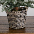 2' Artificial Frosted Christmas Tree in Decorative Basket