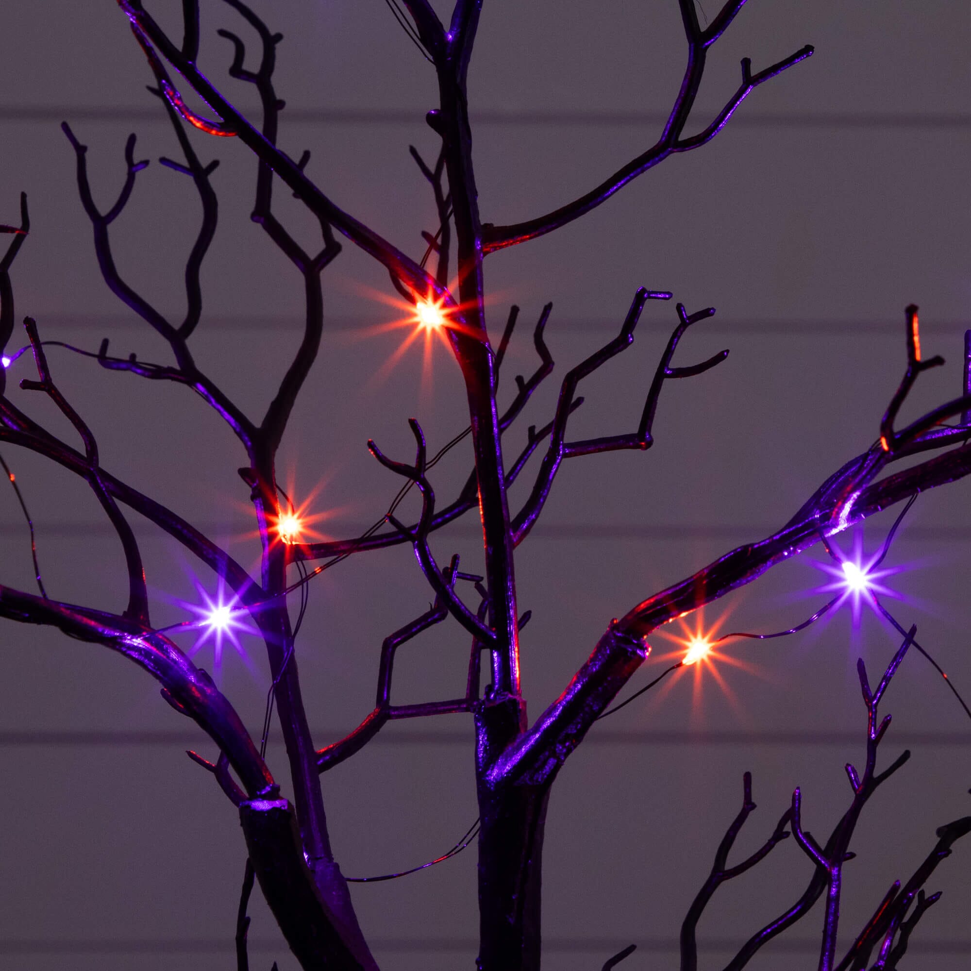 2' Pre-Lit Artificial Halloween Black Spooky Twig Tree with Bats and 40 Orange & Purple LED Lights