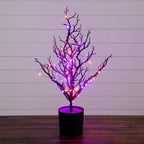 2' Pre-Lit Artificial Halloween Black Spooky Twig Tree with 60 Orange & Purple Copper Wire String LED Lights