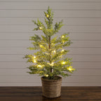 2’ Pre-Lit Artificial Snowed Cypress Christmas Tree with 30 LED Lights in Hyacinth Basket