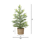 2’ Pre-Lit Artificial Snowed Cypress Christmas Tree with 30 LED Lights in Hyacinth Basket