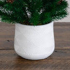 20” Artificial Christmas Tree with Pinecones in White Ceramic Planter