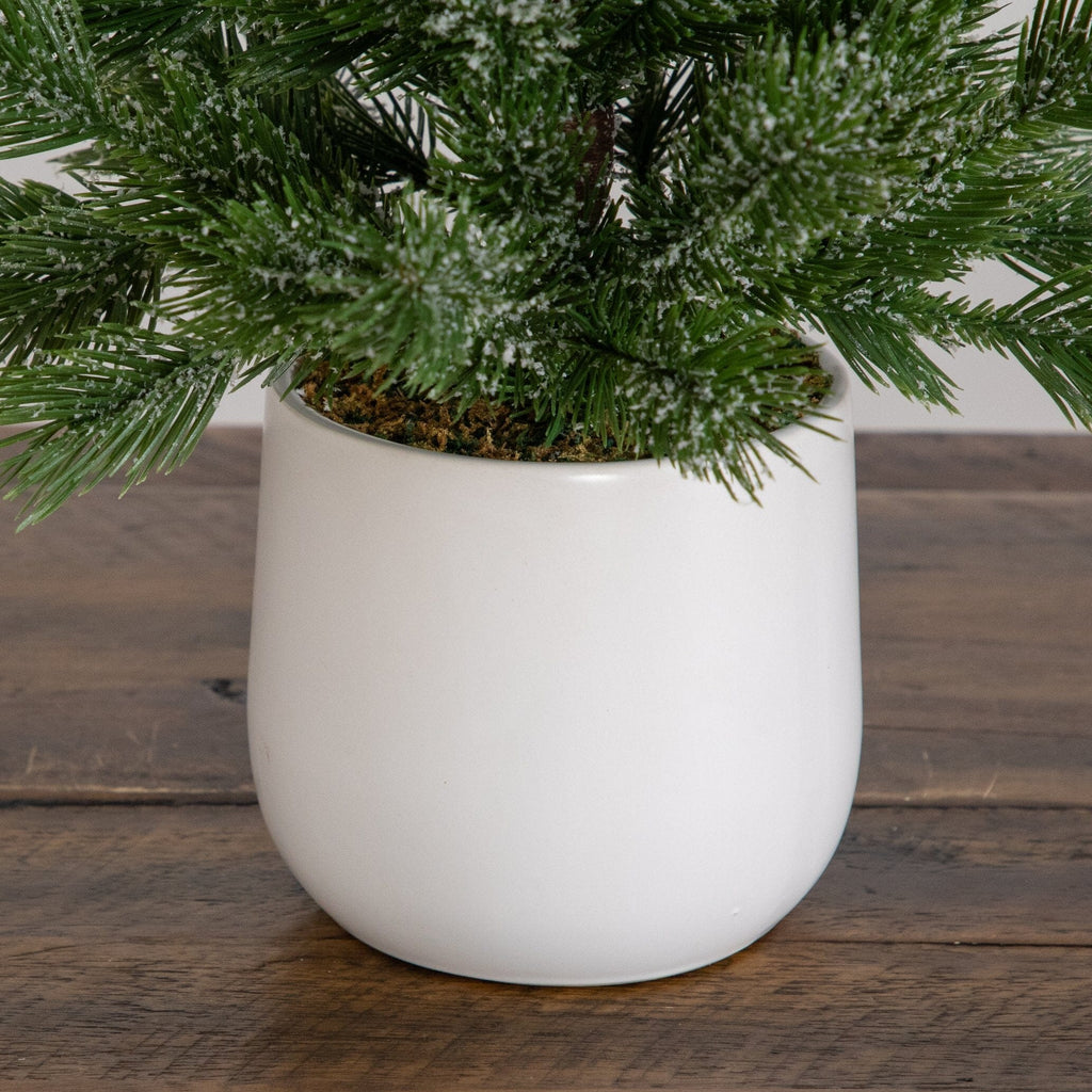 22” Artificial Frosted Christmas Tree in White Ceramic Planter