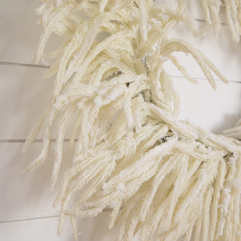 24" Artificia Real Touch White Norfolk Island Pine Wreath with Natural Look