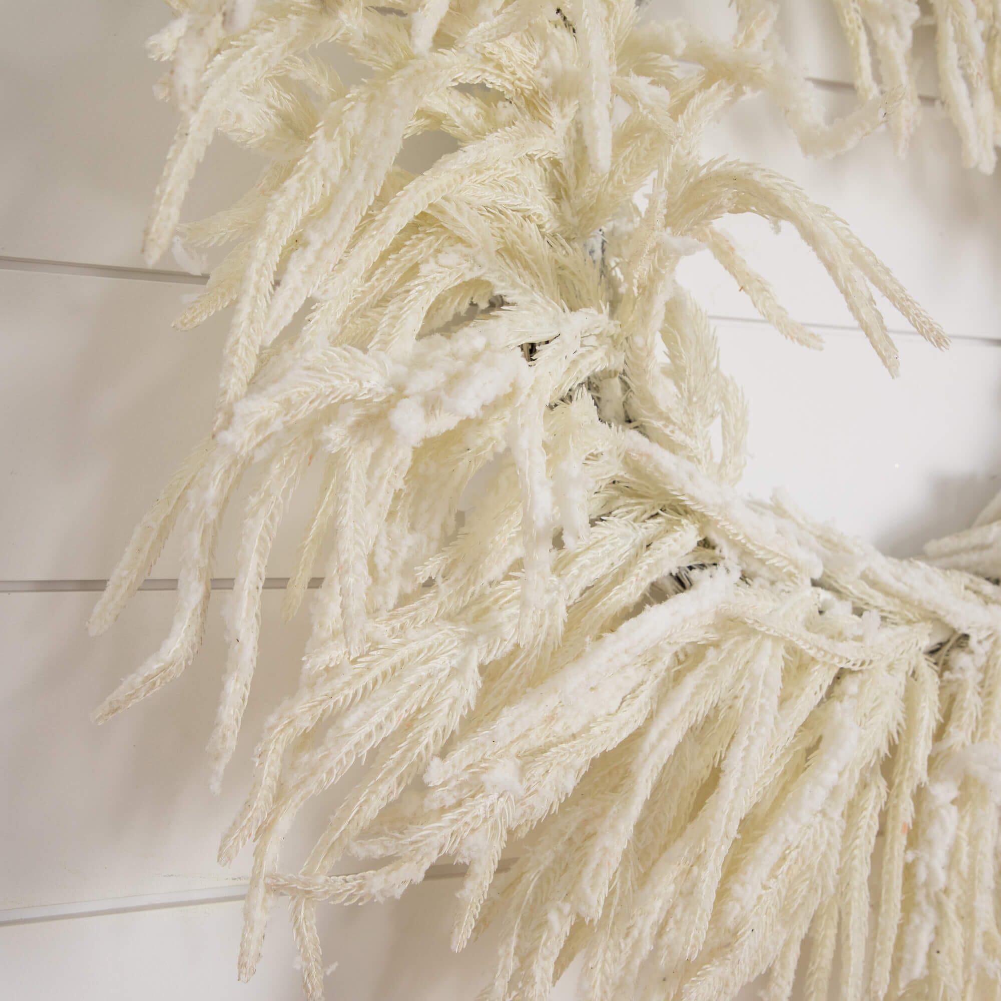 24" Artificia Real Touch White Norfolk Island Pine Wreath with Natural Look