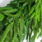 24" Artificial Real Touch Norfolk Island Pine Wreath with Natural Look