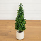 34” UV Resistant Artificial Boxwood Topiary Cone Tree in Decorative White Planter (Indoor/Outdoor)