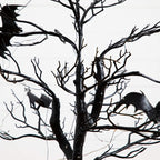 4' Pre-Lit Artificial Halloween Black Spooky Twig Tree with Bats and 120 Orange & Purple LED Lights