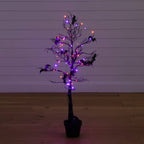 4' Pre-Lit Artificial Halloween Black Spooky Twig Tree with Bats and 120 Orange & Purple LED Lights