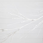 6’ Pre-Lit Artificial White Birch Garland with 48 Warm White LED Lights