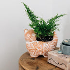 Garden Kitty Planter