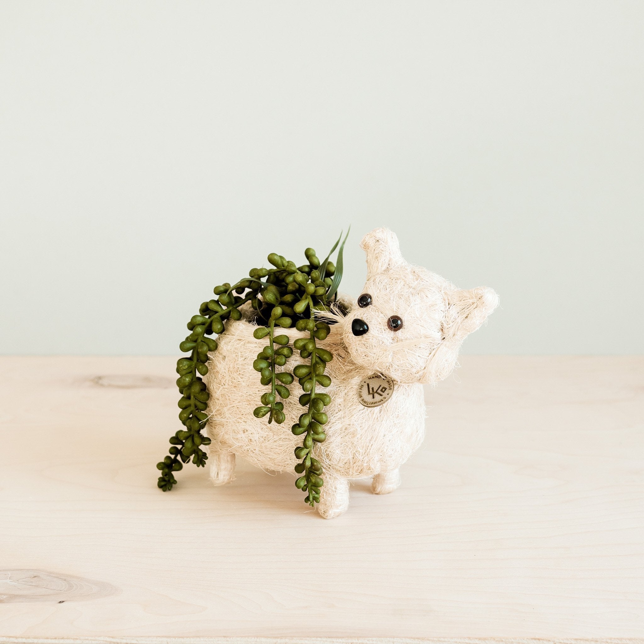 Baby Cat Planter - Che Cose Belle