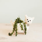 Baby Cat Planter - Che Cose Belle