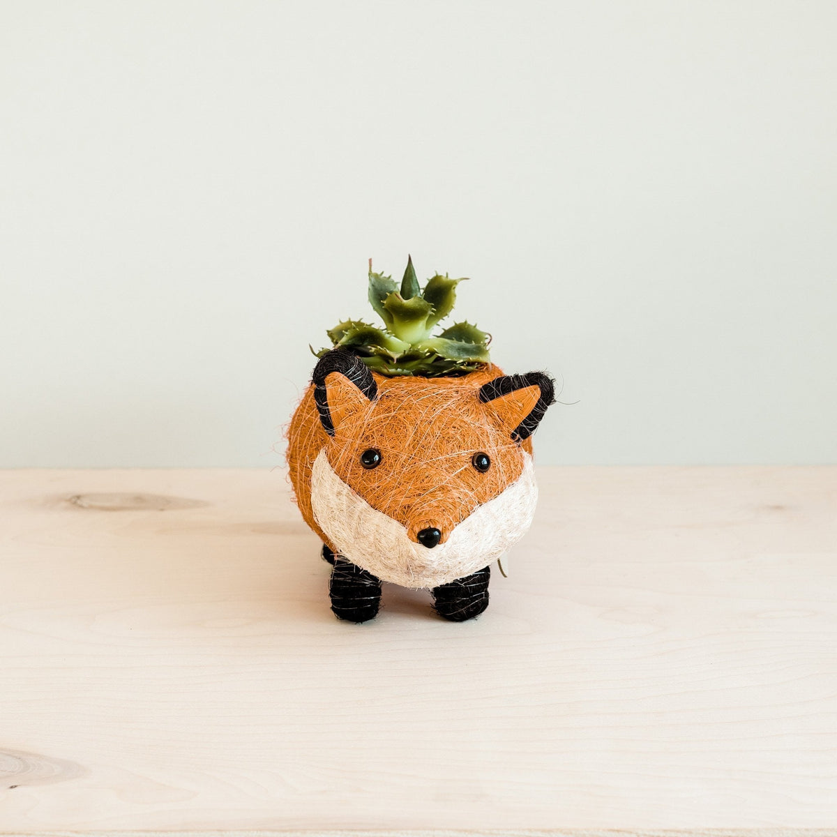 Baby Fox Planter - Che Cose Belle