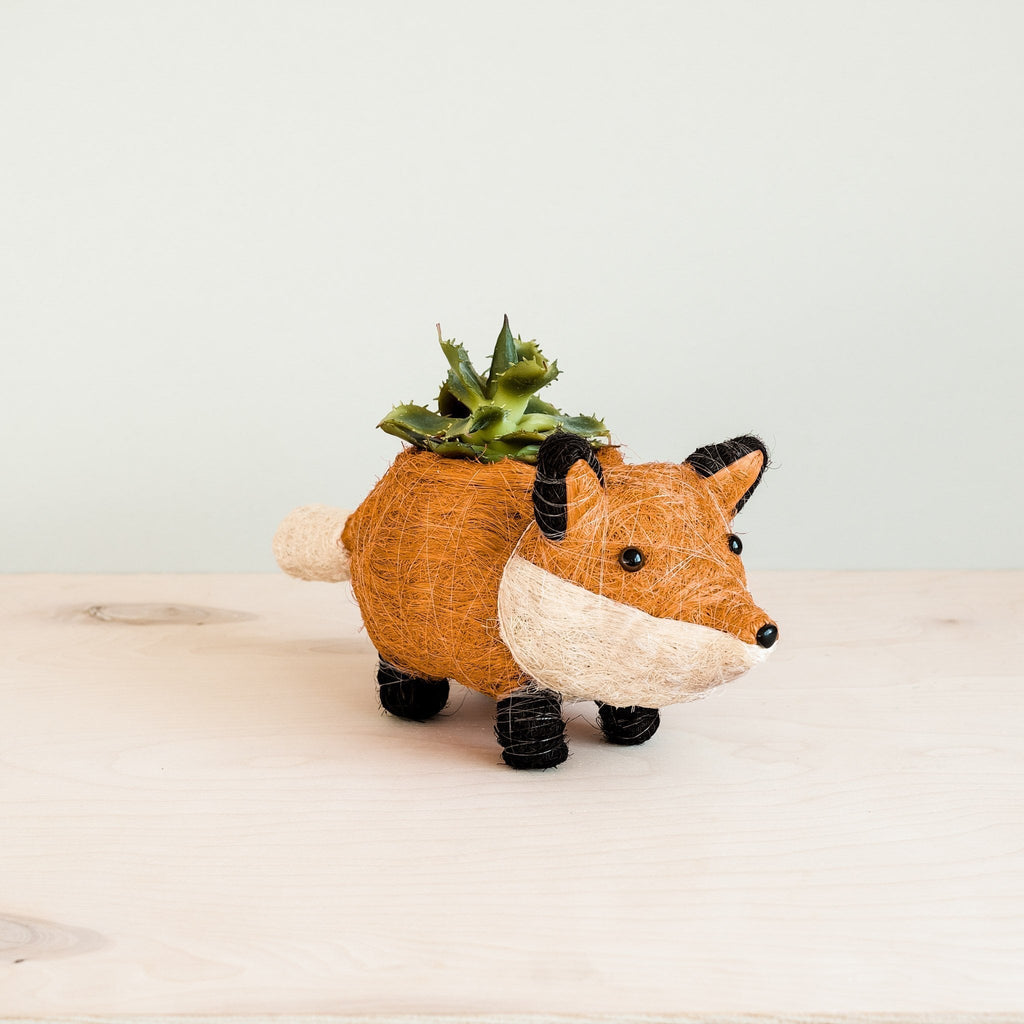 Baby Fox Planter - Che Cose Belle