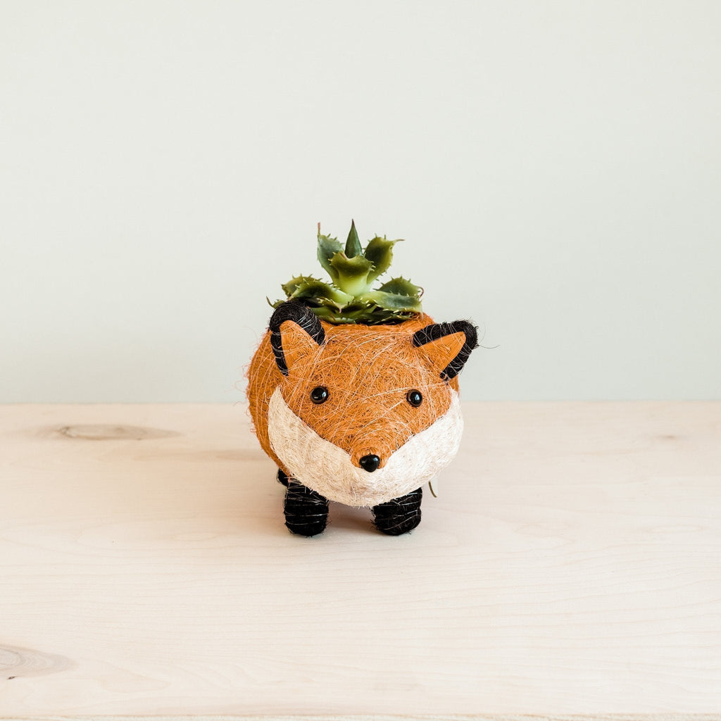 Baby Fox Planter - Che Cose Belle