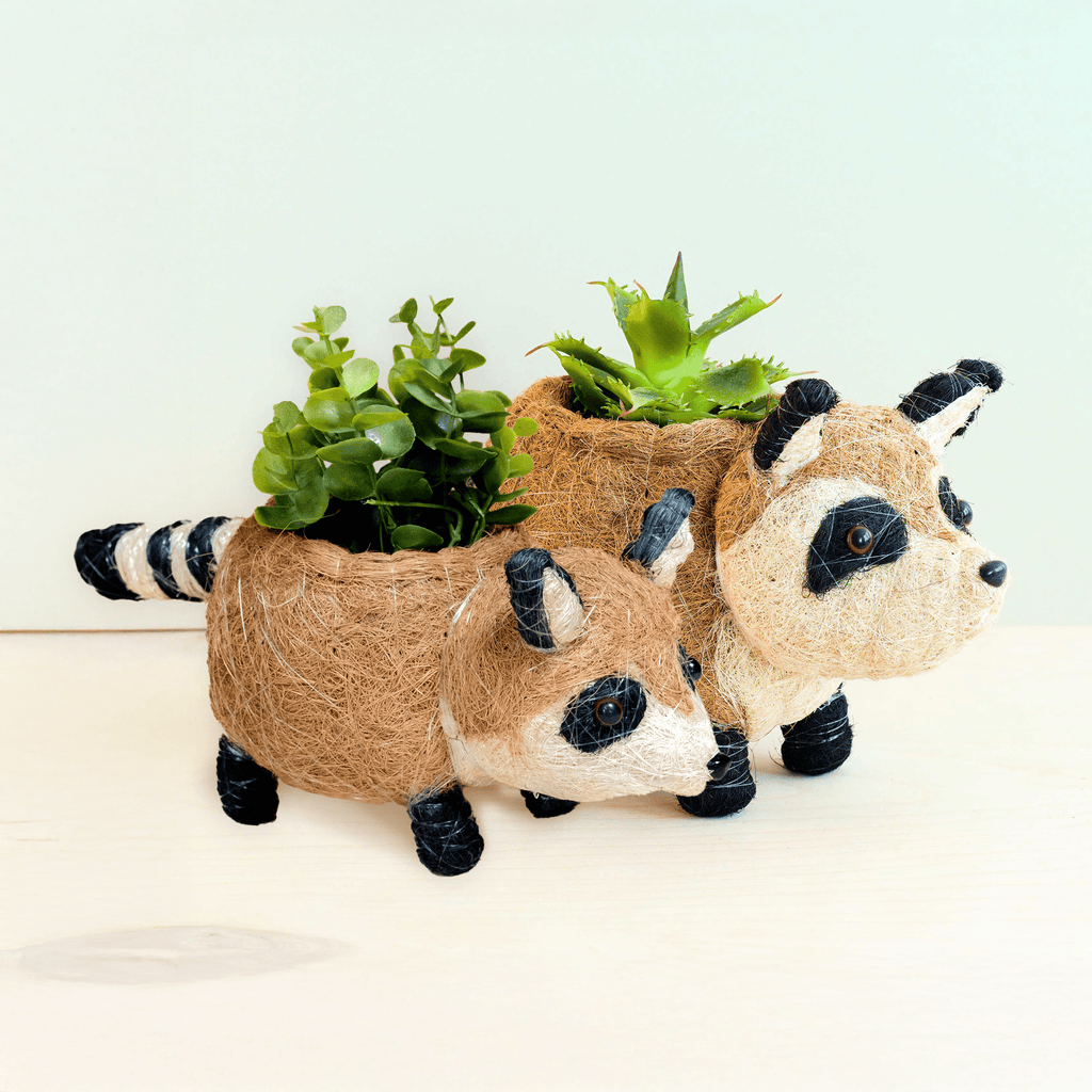 Baby Raccoon Planter - Handmade Planter | LIKHÂ - Che Cose Belle