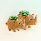 Baby Rhino Planter - Che Cose Belle