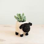 Baby Sheep Planter - Che Cose Belle