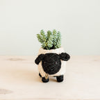 Baby Sheep Planter - Che Cose Belle