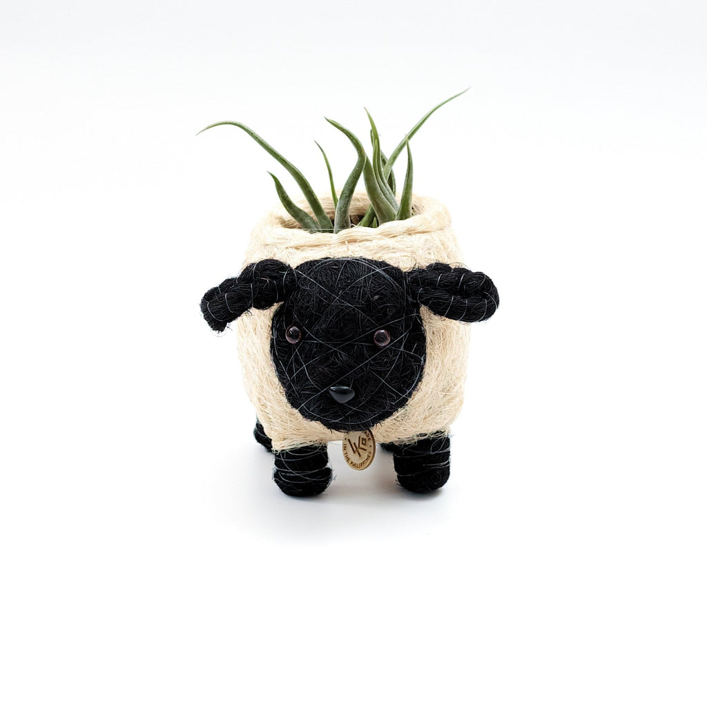 Baby Sheep Planter - Che Cose Belle